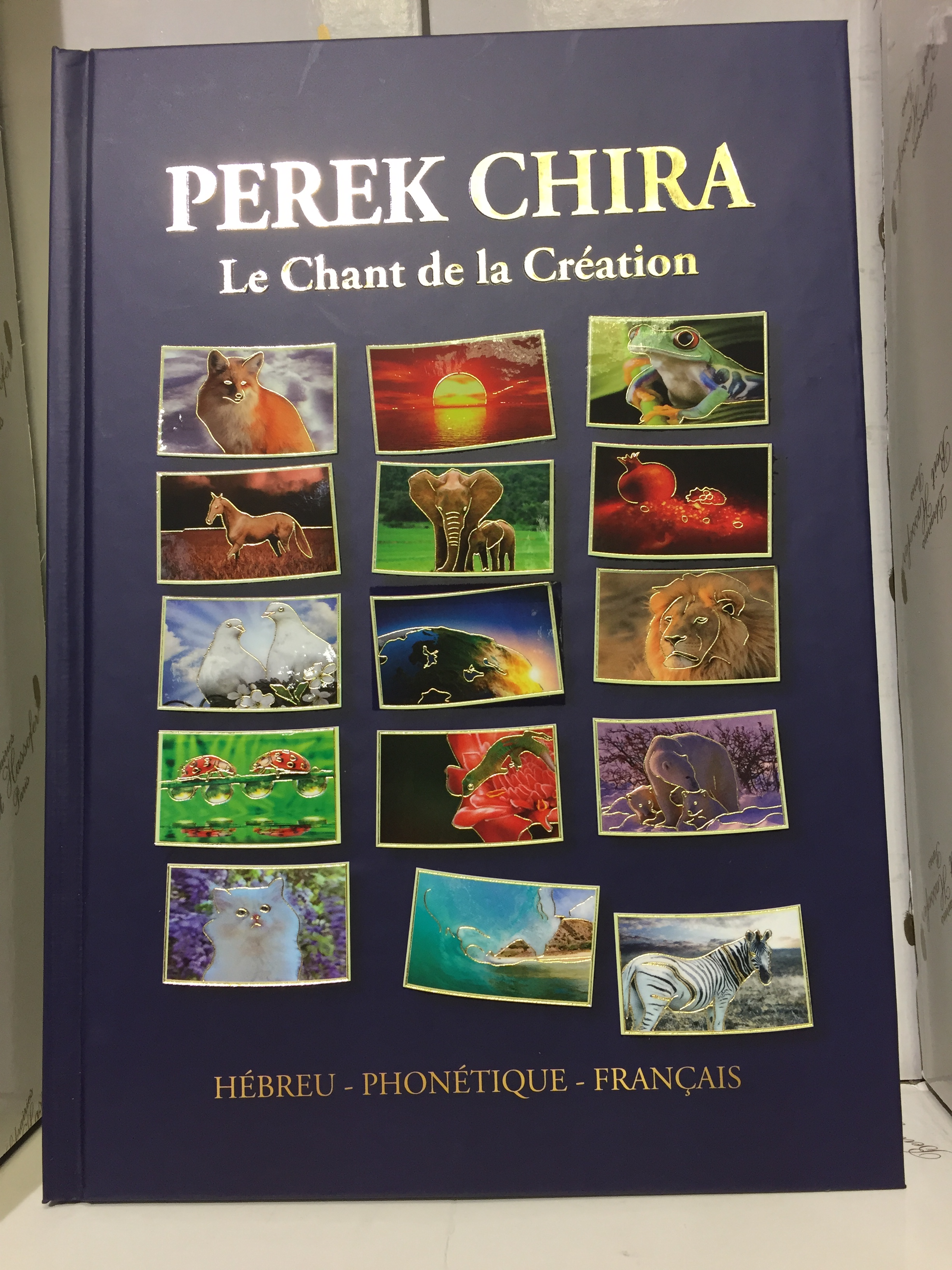 perek chira