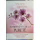 Les fondements de la pureté - guide pratique des lois de la pureté familiale