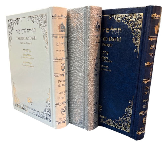 Décor Mural Torah - Psaume Chapitre 20 (Tehilim) - Autocollant Stickers Déco Bible Judaica - 7806083703677