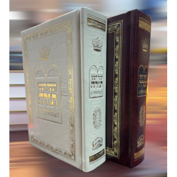Livre de Torah 8