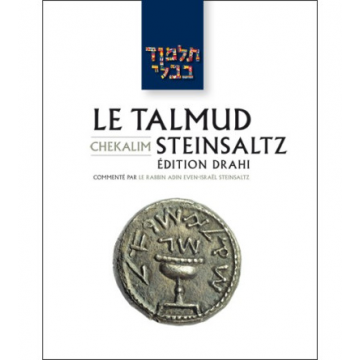 Chekalim - Le Talmud Steinsaltz T8