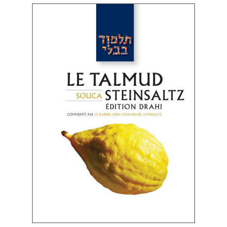 'Erouvin 2 - Le Talmud Steinsaltz T5