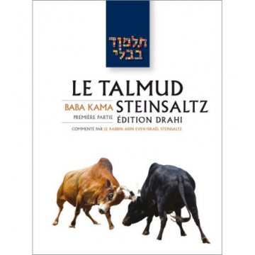 'Erouvin 2 - Le Talmud Steinsaltz T5
