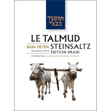 'Erouvin 2 - Le Talmud Steinsaltz T5
