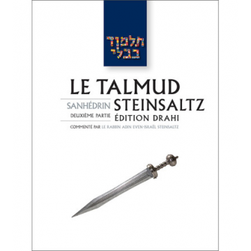 'Erouvin 2 - Le Talmud Steinsaltz T5