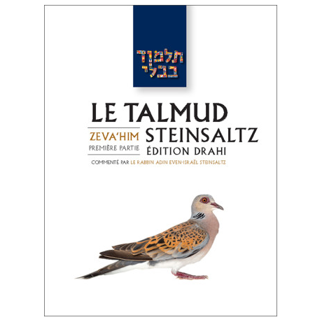 'Erouvin 2 - Le Talmud Steinsaltz T5