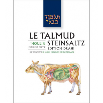 'Erouvin 2 - Le Talmud Steinsaltz T5