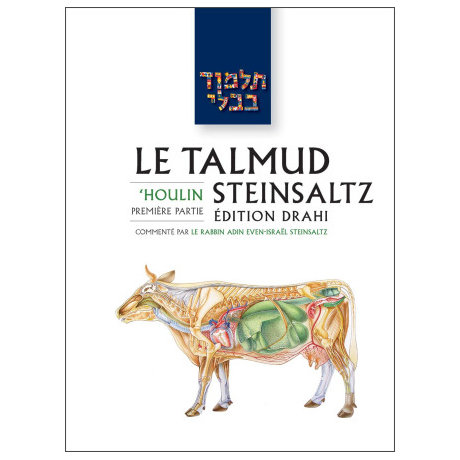 'Erouvin 2 - Le Talmud Steinsaltz T5