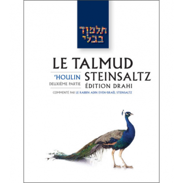'Houlin 2 - Le Talmud Steinsaltz T38