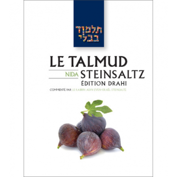 'Houlin 2 - Le Talmud Steinsaltz T38