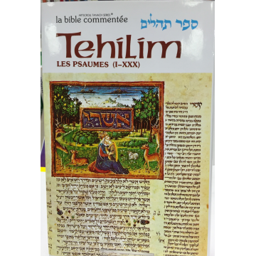 Tehilim T1 les psaumes de 1 à 30 Artscroll 