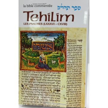 Tehilim T4 les psaumes de 86 à 118 Artscroll