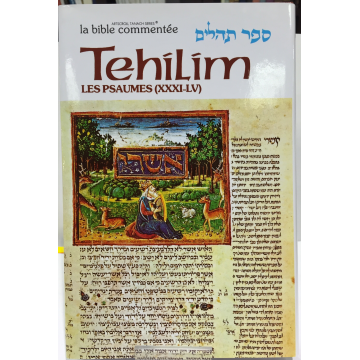 Tehilim T2 les psaumes de 31 à 55 Artscroll 